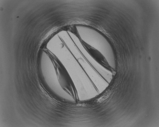 X0000067910440200605041647