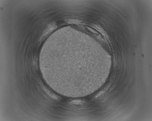 X0000067910441200605041647