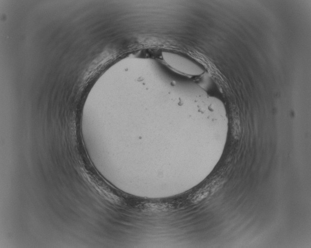 X0000067910442200605041647