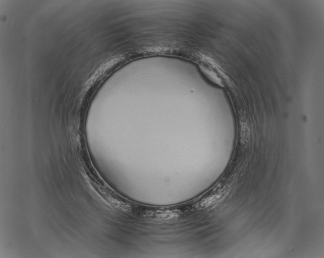 X0000067910443200605041647