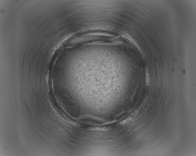 X0000067910444200605041647