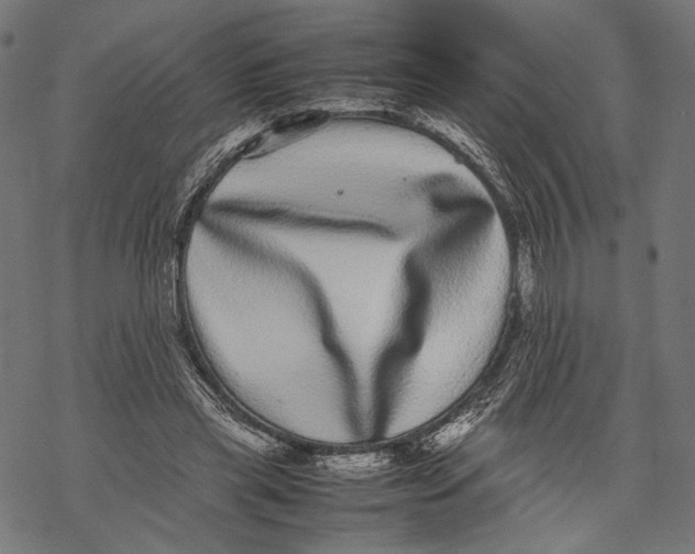 X0000067910445200605041647