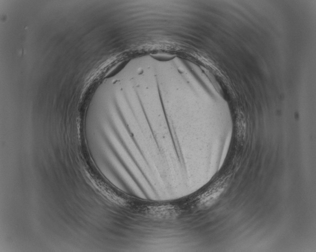 X0000067910446200605041647