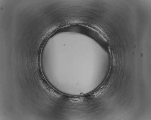 X0000067910447200605041647