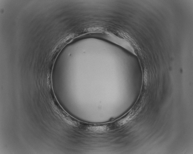 X0000067910449200605041647