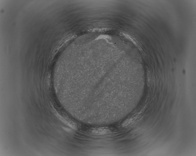 X0000067910451200605041647