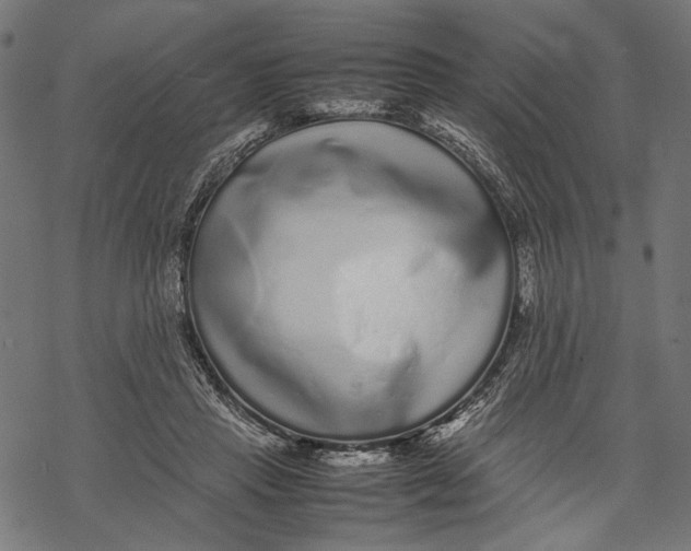 X0000067910453200605041648