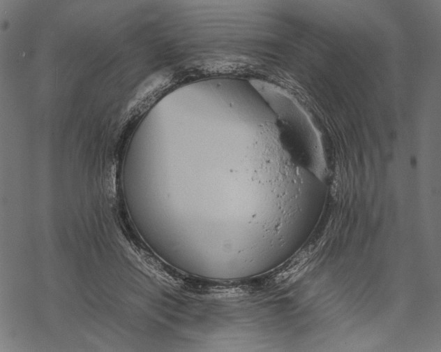 X0000067910454200605041648