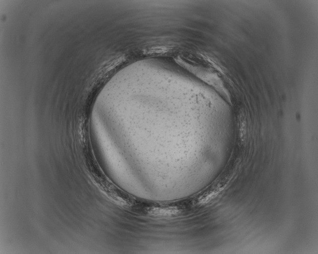 X0000067910455200605041648