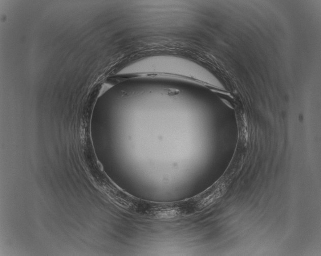 X0000067910456200605041648