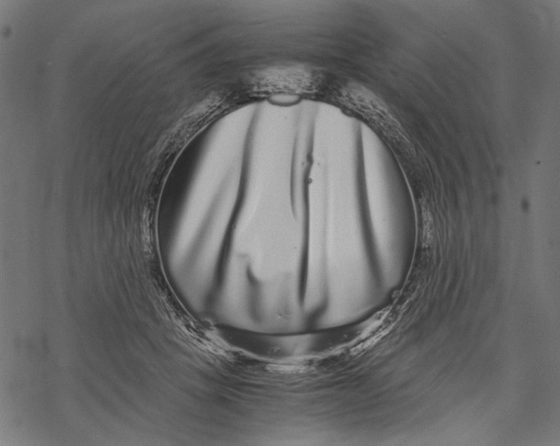 X0000067910457200605041648