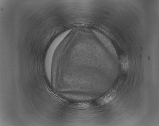 X0000067910458200605041648