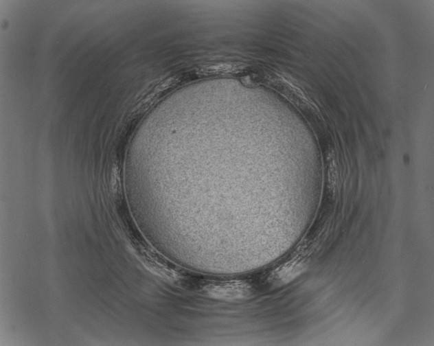 X0000067910459200605041648