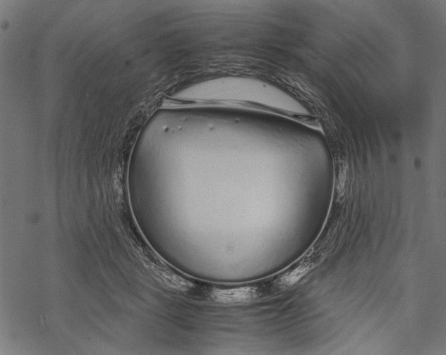 X0000067910461200605041648