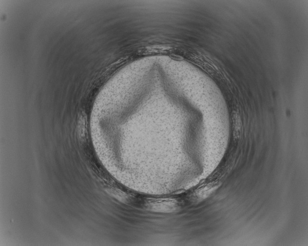 X0000067910463200605041648