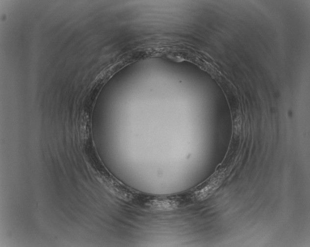 X0000067910464200605041648