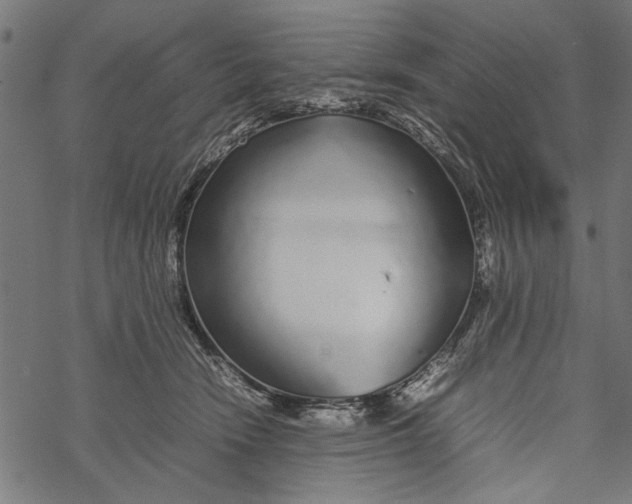 X0000067910466200605041648