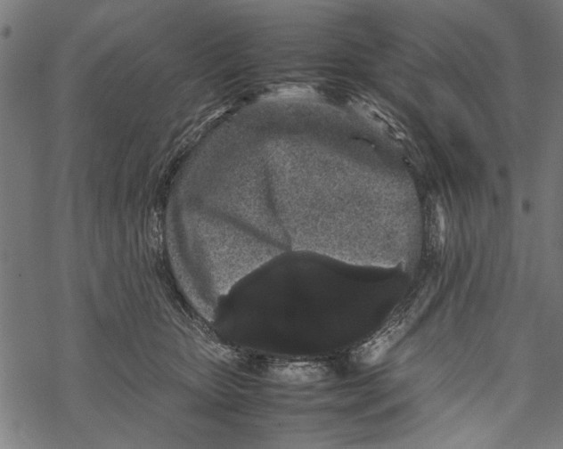 X0000067910467200605041648