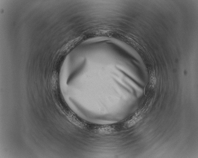 X0000067910468200605041648