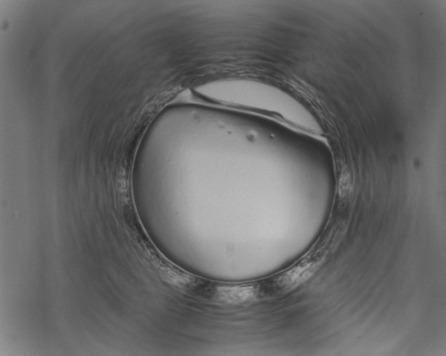 X0000067910469200605041648