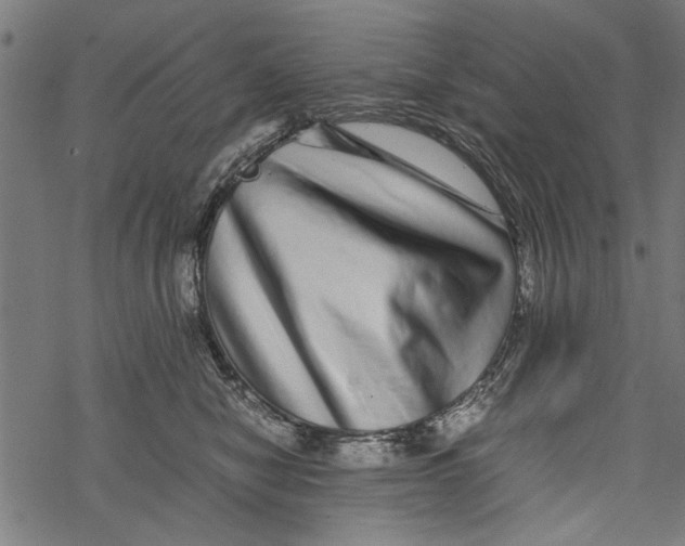 X0000067910470200605041648