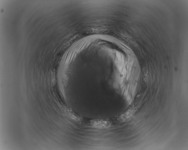 X0000067910471200605041648