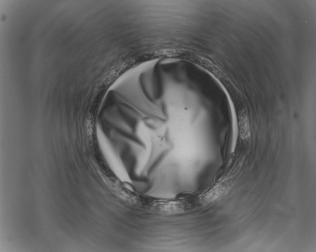 X0000067910472200605041648