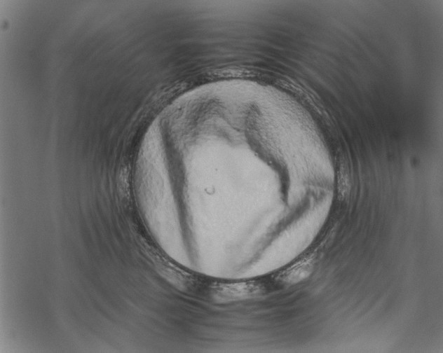 X0000067910473200605041648