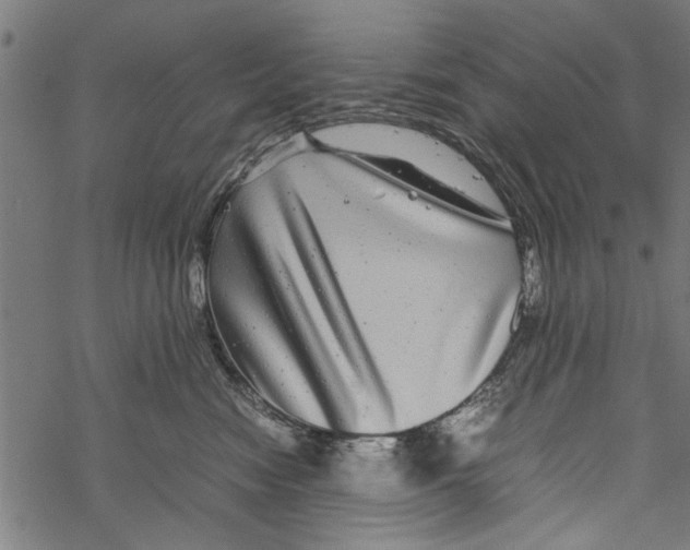 X0000067910474200605041648