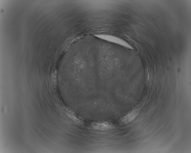 X0000067910475200605041648