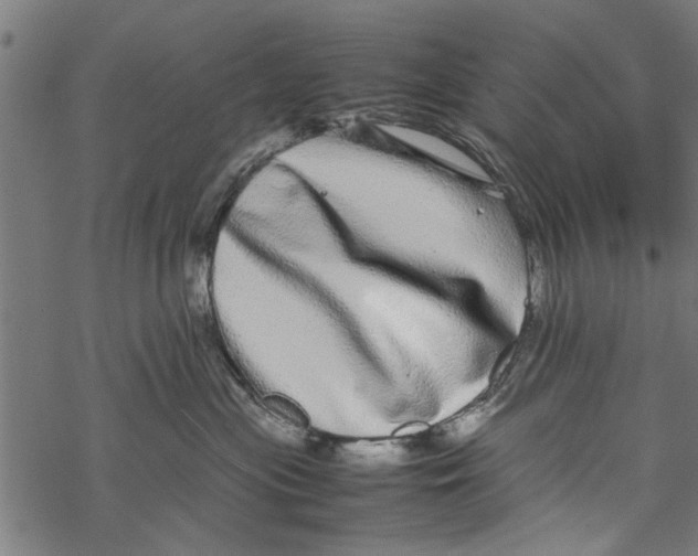 X0000067910477200605041648