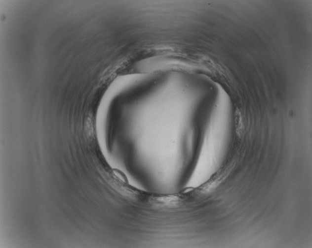 X0000067910478200605041648