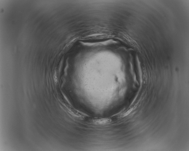 X0000067910479200605041648