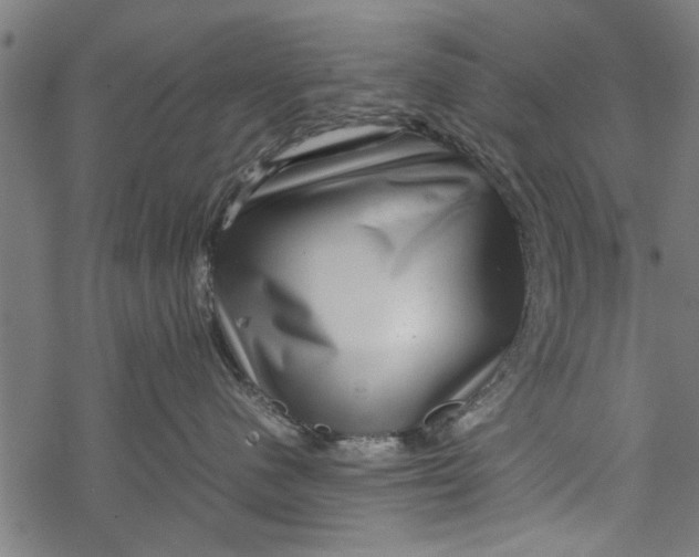 X0000067910480200605041648