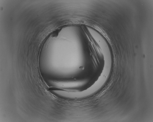 X0000067910481200605041647