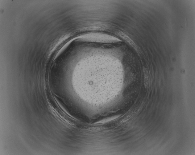 X0000067910482200605041647