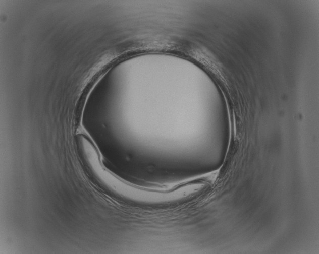 X0000067910483200605041647