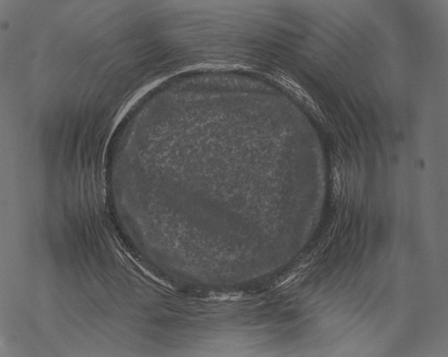 X0000067910484200605041647