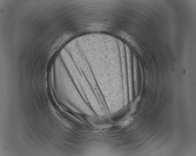 X0000067910486200605041647