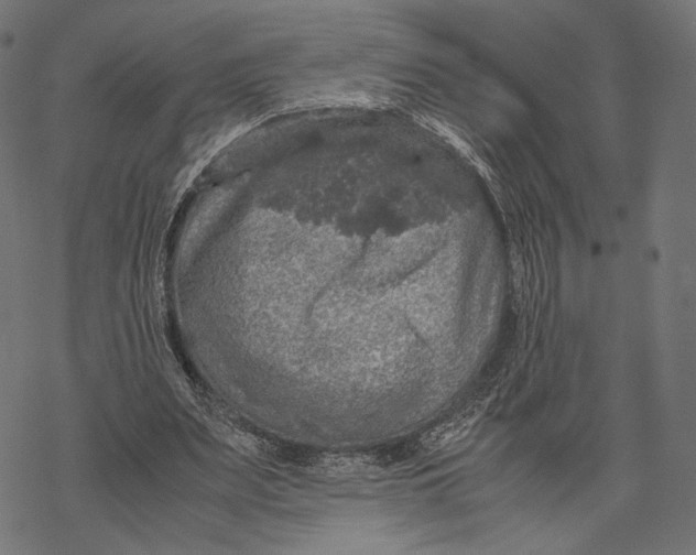 X0000067910487200605041647