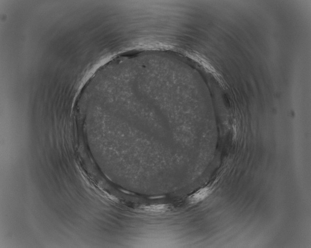 X0000067910488200605041647