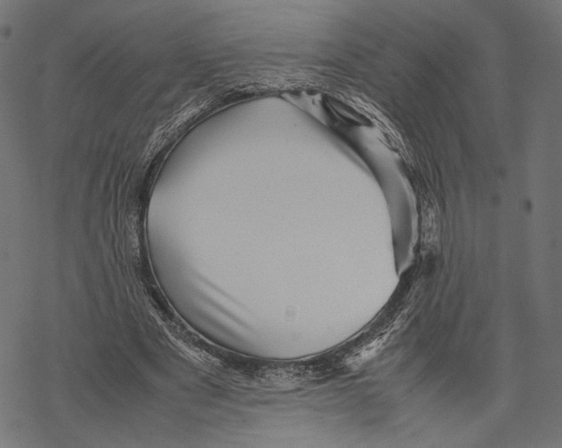 X0000067910489200605041647