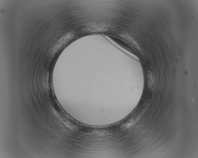 X0000067910490200605041647