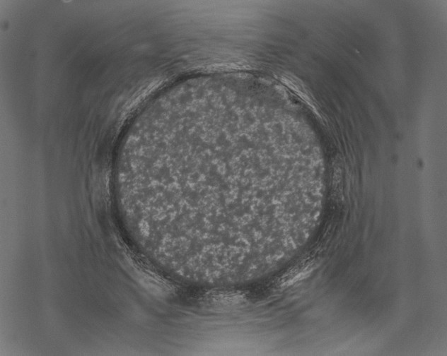 X0000067910491200605041647