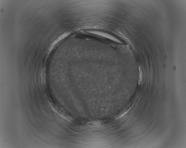 X0000067910492200605041647