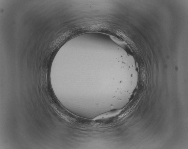 X0000067910493200605041647