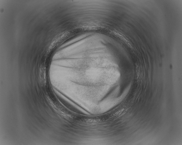 X0000067910494200605041647