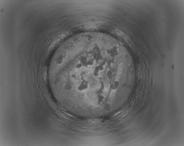 X0000067910495200605041647