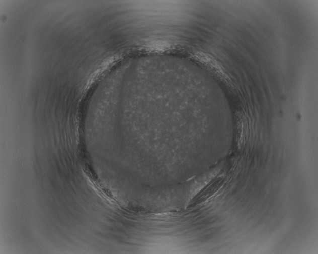 X0000067910496200605041647