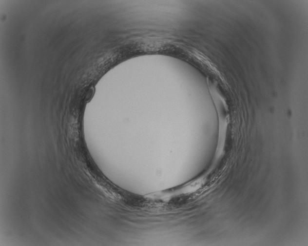 X0000067910497200605041647